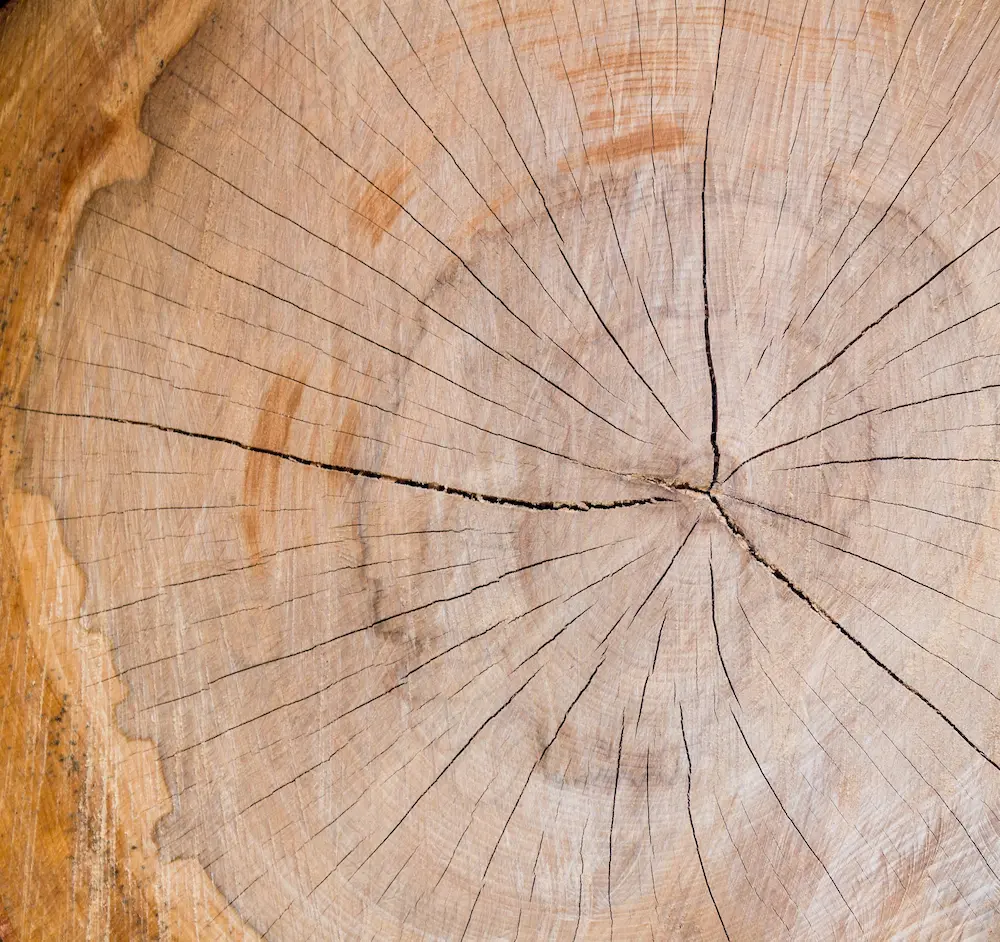 artur luczka lgbbuz7vhji unsplash