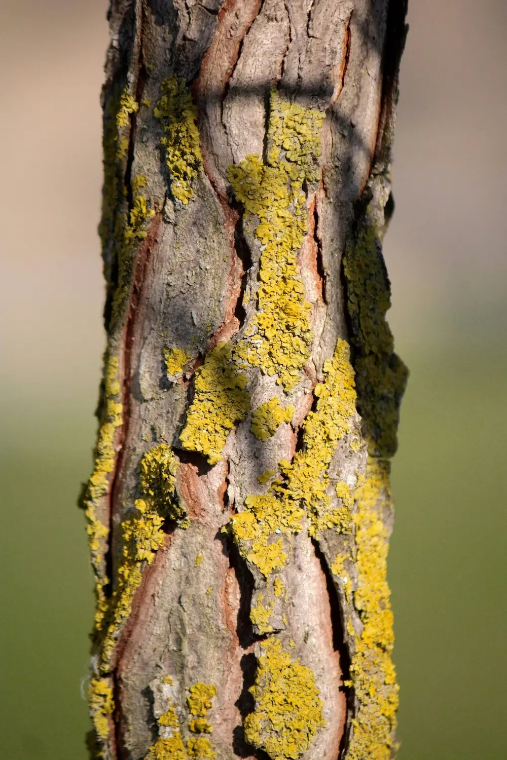 danielle claude belanger bhpx1j cw9s unsplash