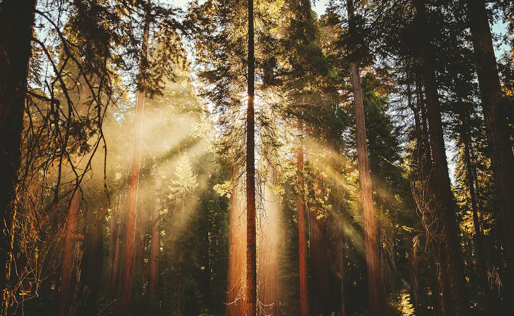 her constructive insights significantly contributed to my professional development