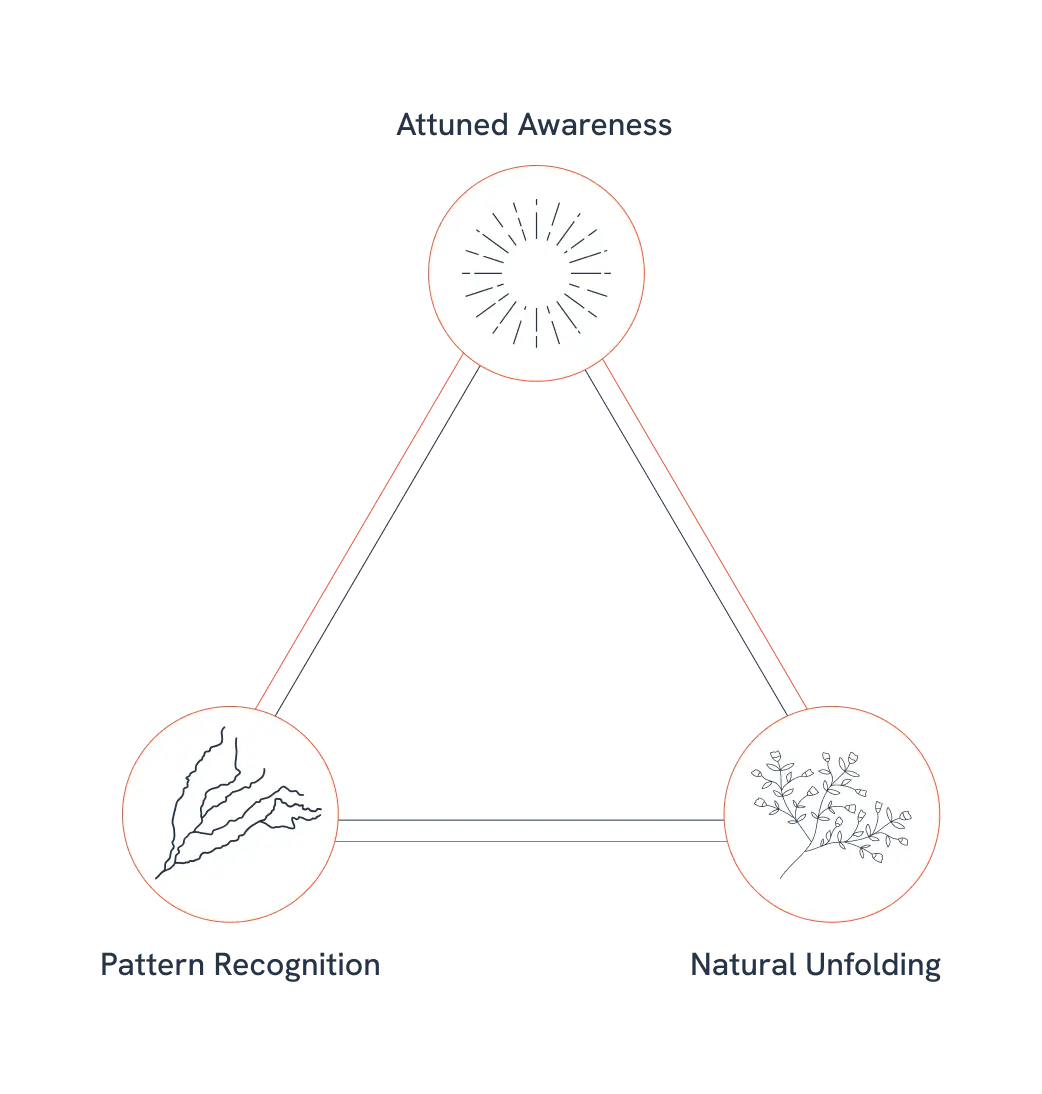 prosperitual catalyst triangle model 3
