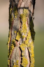 danielle claude belanger bhpx1j cw9s unsplash