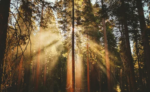 her constructive insights significantly contributed to my professional development