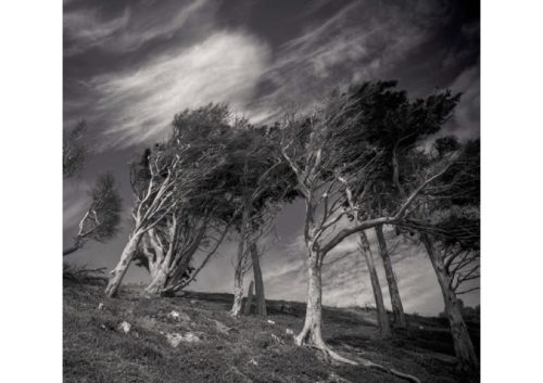 resilience in leadership 1