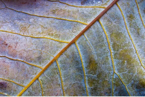 she remembers the fine details that matter to me